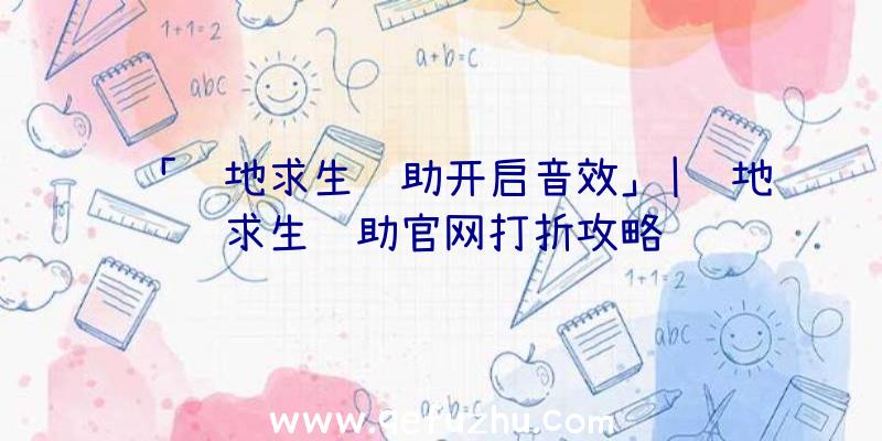 「绝地求生辅助开启音效」|绝地求生辅助官网打折攻略